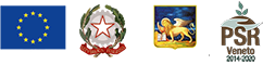 FEASR